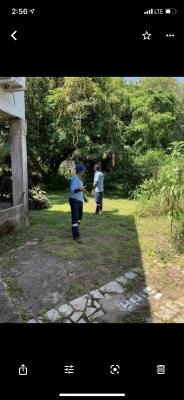 , Casa en alquiler en Parque Lefevre | P2730042