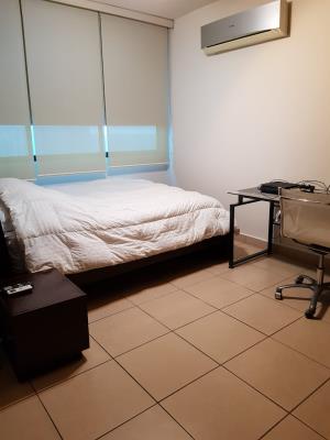 , Área Metropolitana