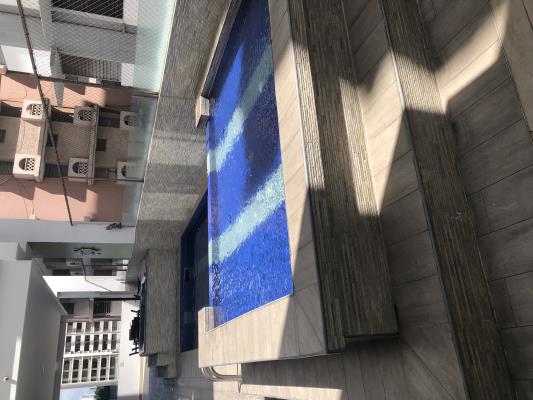 The Palm, Obarrio