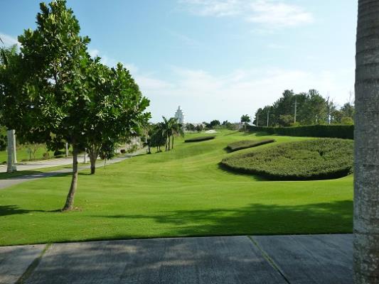 Rodman, Bijao, Antón