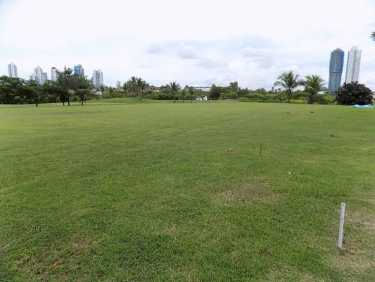 , Área Metropolitana