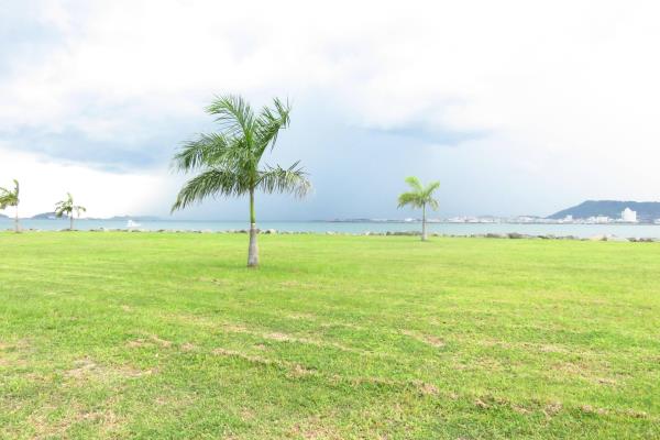 , Punta Pacifica