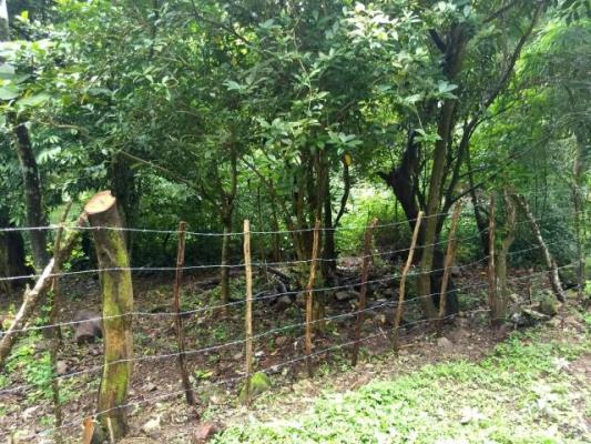 , Terreno en venta en Coclé | P2783452