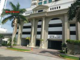 ymal