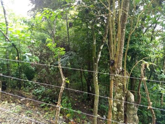 , Terreno en venta en Coclé | P2796283