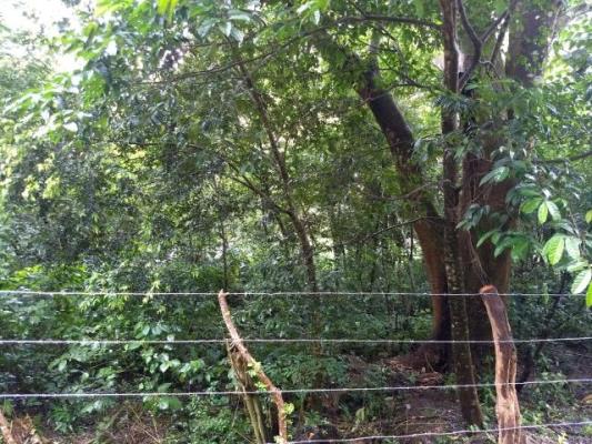 , Terreno en venta en Coclé | P2796283