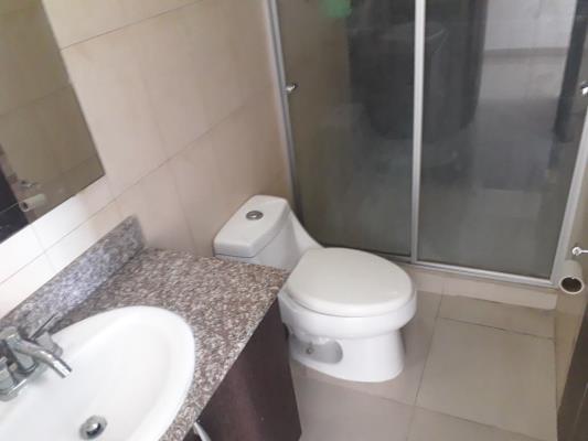 Serenity at the bay, San Francisco