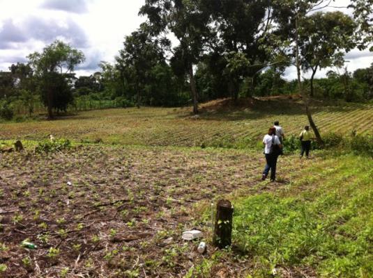 , Terreno en venta en Guayabal | P2806440