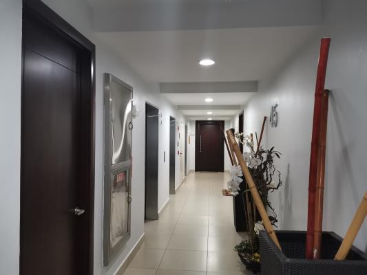 , Área Metropolitana