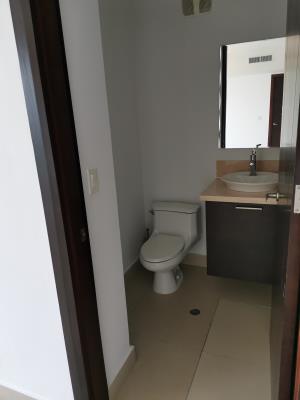 , Área Metropolitana