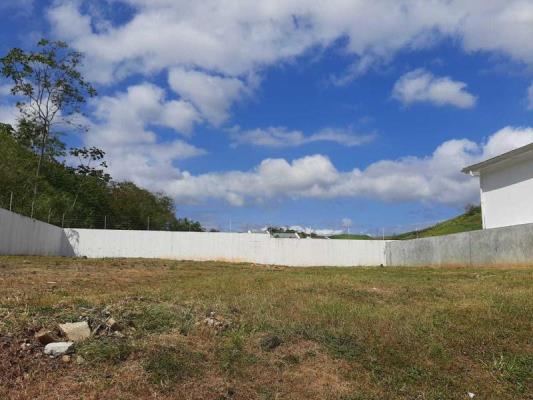 , Amelia Denis De Icaza