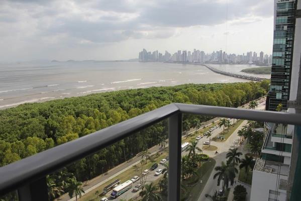 Regalia, Área Metropolitana