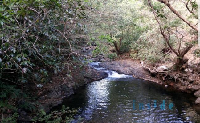 , Terreno en alquiler en Sorá | P2836414
