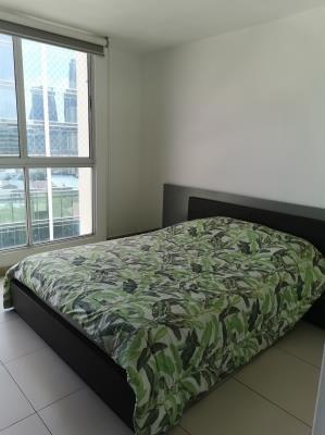 Metric, Área Metropolitana