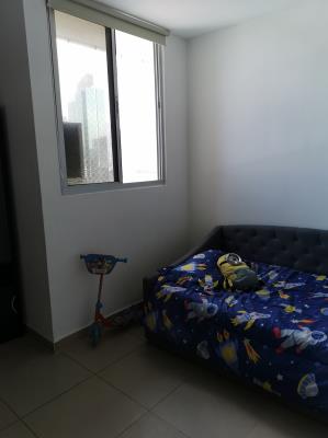 Metric, Área Metropolitana