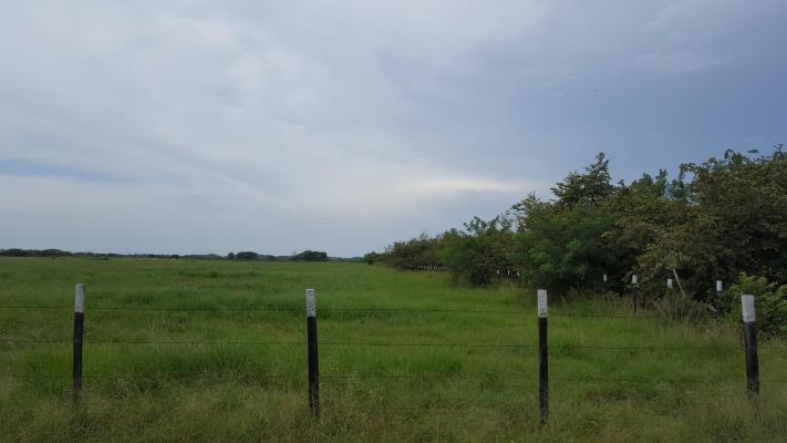 , Terreno en venta en Rio Hato | P2847530