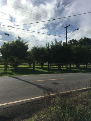 , Terreno en venta en Rio Hato | P2848524