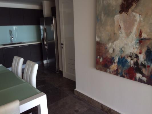 Yoo Panama, Área Metropolitana