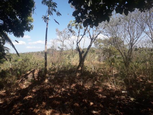 , Terreno en venta en Antón | P2856812