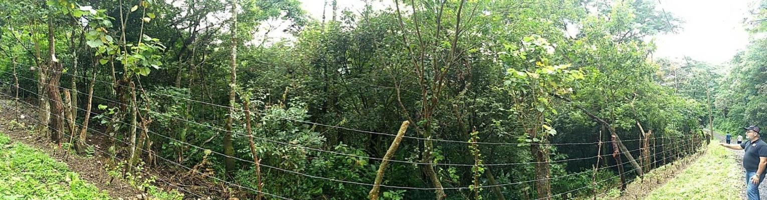 , Terreno en alquiler en Coclé | P2864071