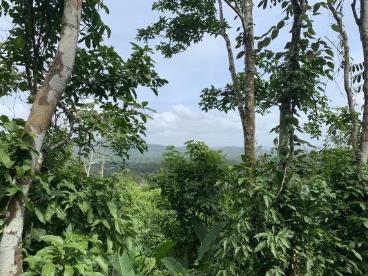 , Lot / Land for sell in San Francisco | P2887199