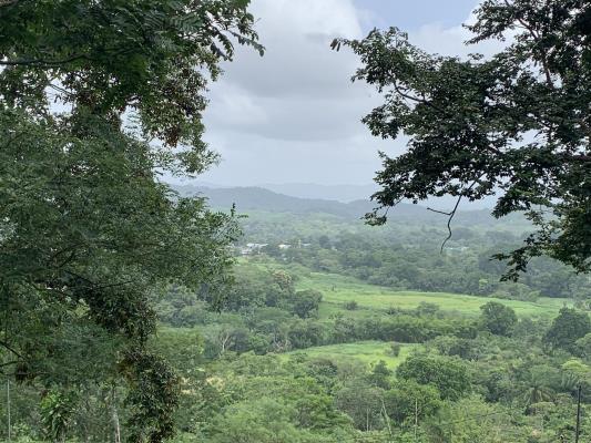 , Lot / Land for sell in San Francisco | P2887199