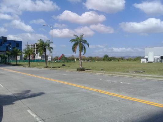 , Área Metropolitana