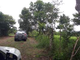 Barrio Colón La Chorrera