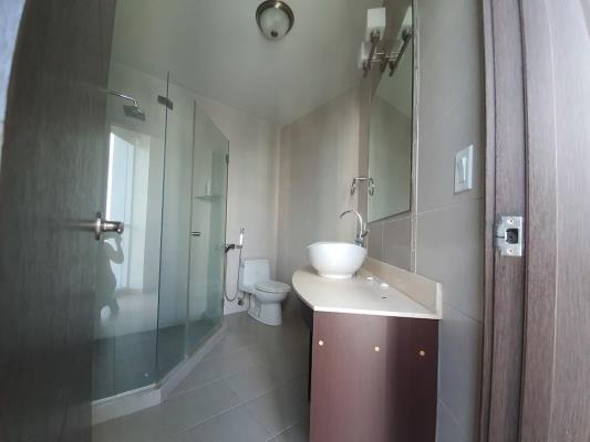 , Área Metropolitana