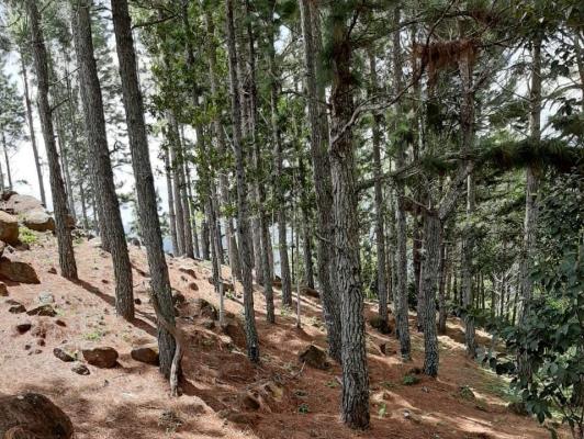 , Terreno en venta en Sorá | P2938985