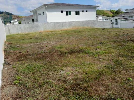 , Terreno en venta en Amelia Denis De Icaza | P2945383