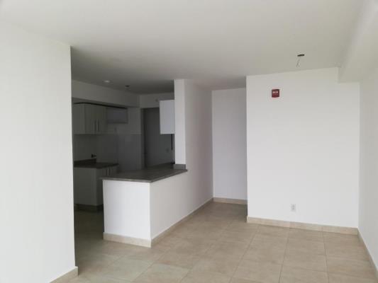 Alegria, Área Metropolitana