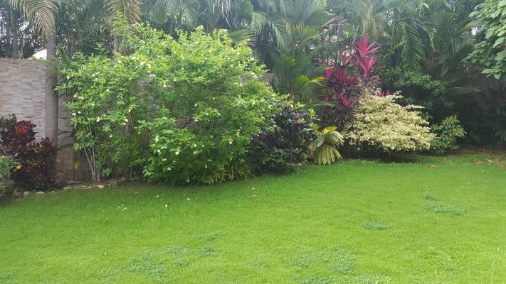 , Área Metropolitana