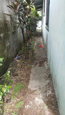 , Casa en alquiler en Parque Lefevre | P2985248