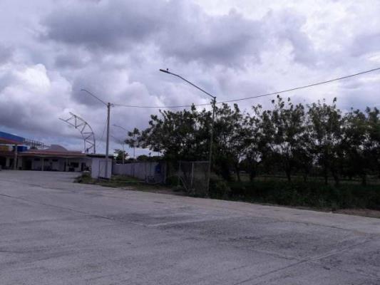 , Terreno en alquiler en Cochea | P2996693
