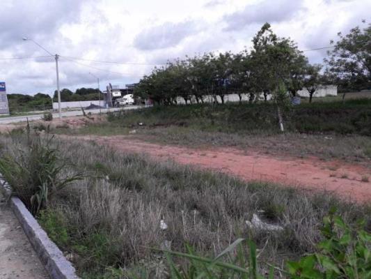 , Cochea