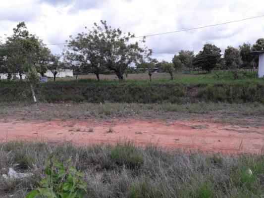 , terreno