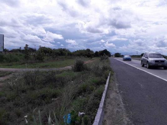 , Cochea