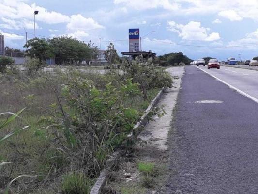 , Cochea
