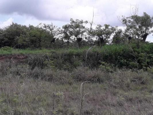 , terreno