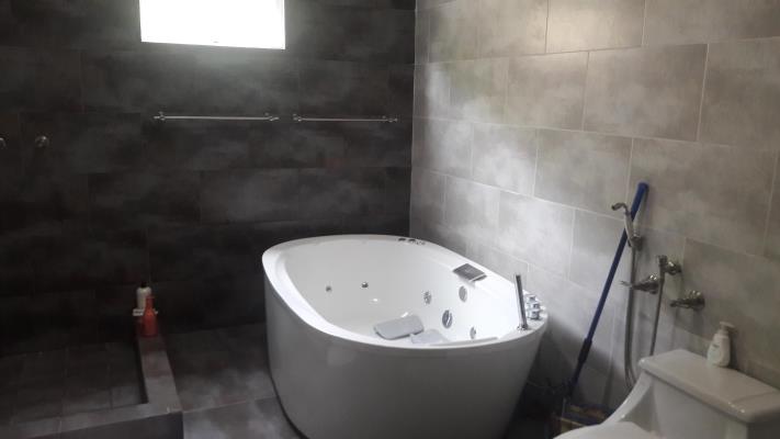 , Amelia Denis De Icaza