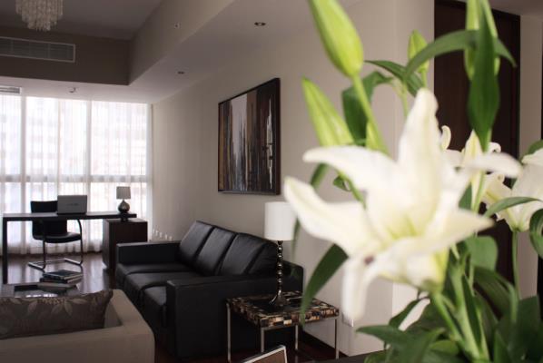 , Área Metropolitana