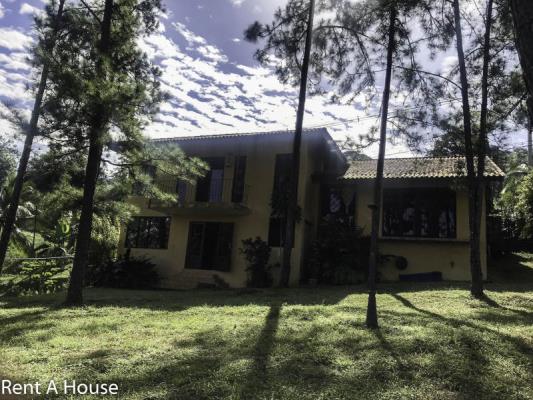 , Amelia Denis De Icaza