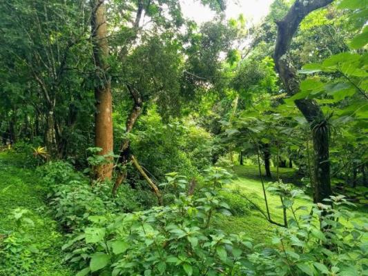 , Terreno en venta en Coclé | P3058391