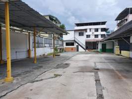 Coco del Mar Panamá