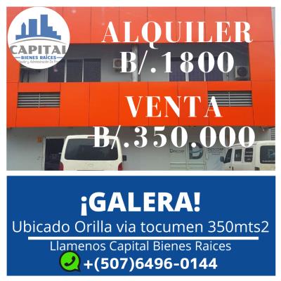 , Terreno en alquiler en Pedregal | P2805761