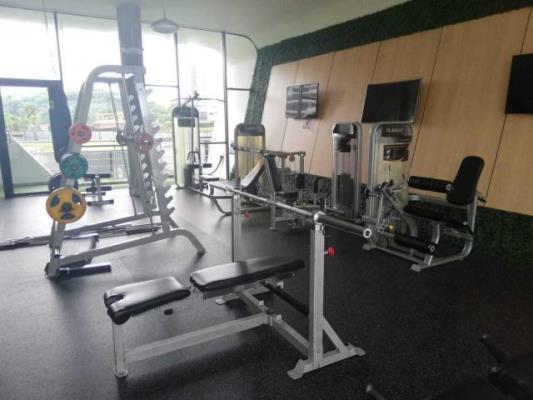 Condado Country club, Apartamento en venta en Amelia Denis De Icaza | Condado Country club -  P3090283