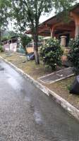 ymal