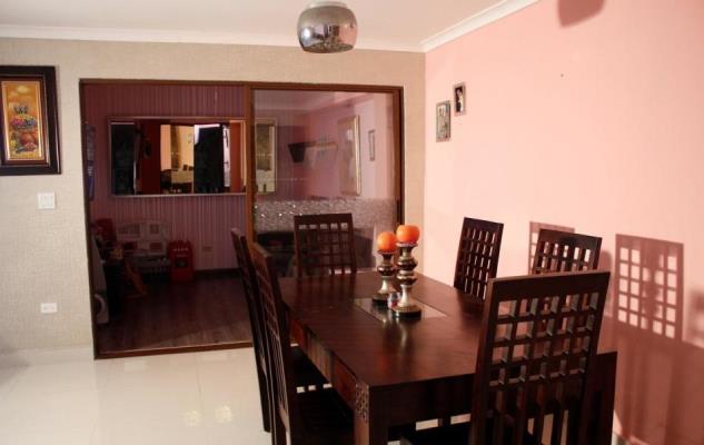 Green Village, Amelia Denis De Icaza