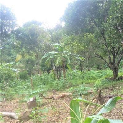 , Terreno en venta en Sorá | P2260118